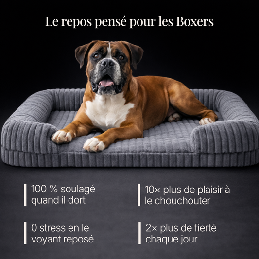 Lit pour Boxer HOLD