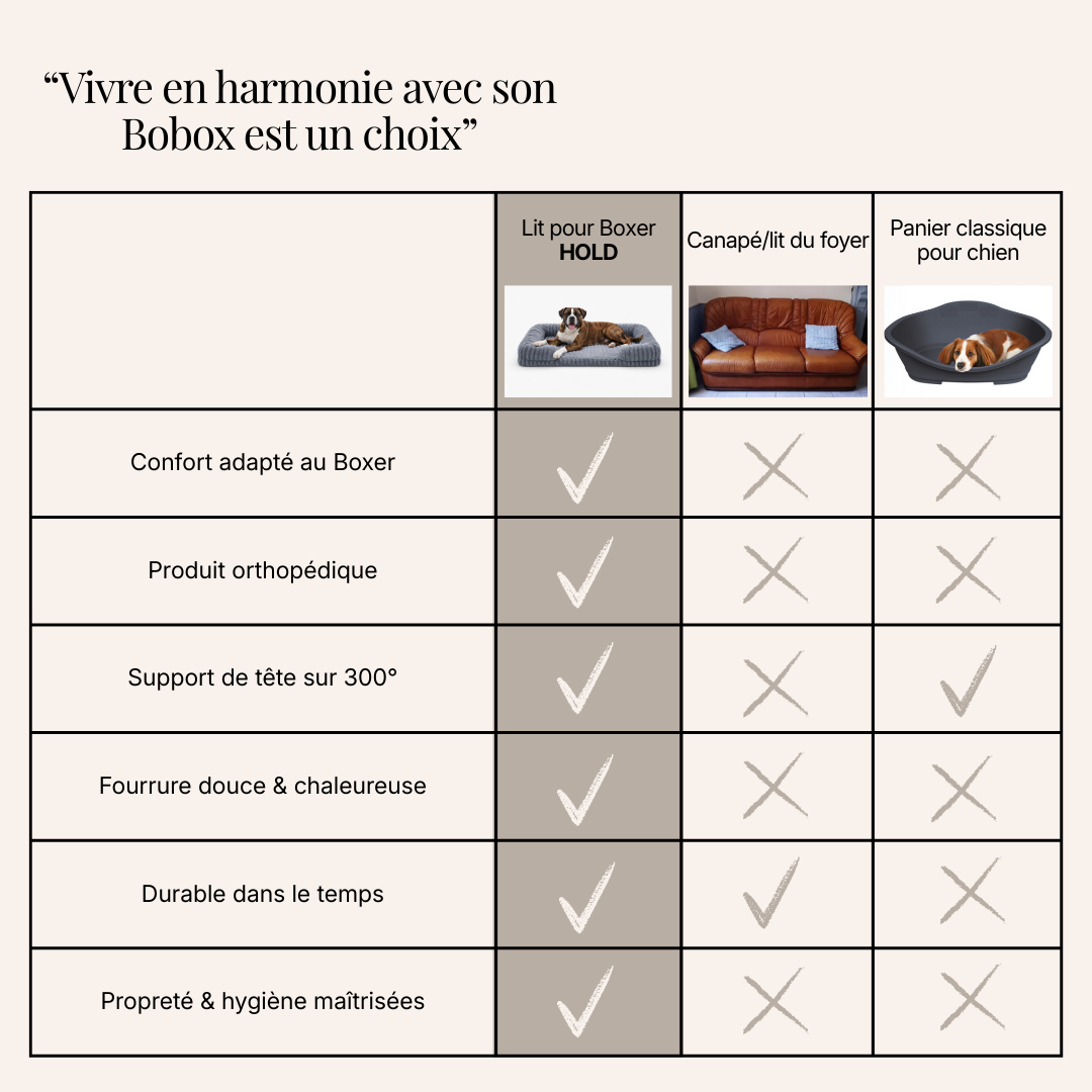 Lit pour Boxer HOLD