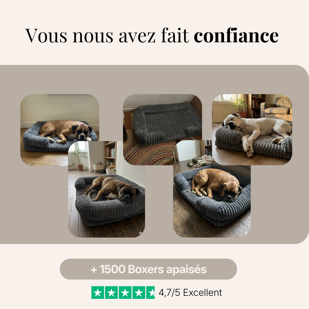 Lit pour Boxer HOLD